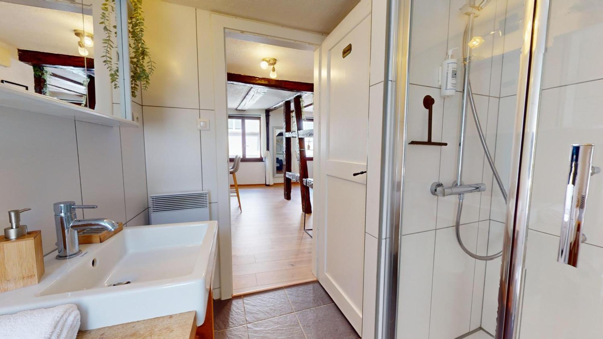 Au Petit Vauban 2 Chambres & Parking Кольмар Екстер'єр фото
